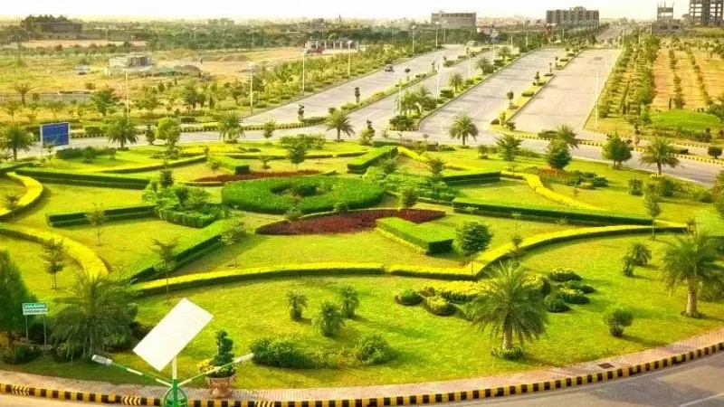 CDA Environment Wing continues tree plantation drive with full momentum across Islamabad - CDA, CDA Environment Wing