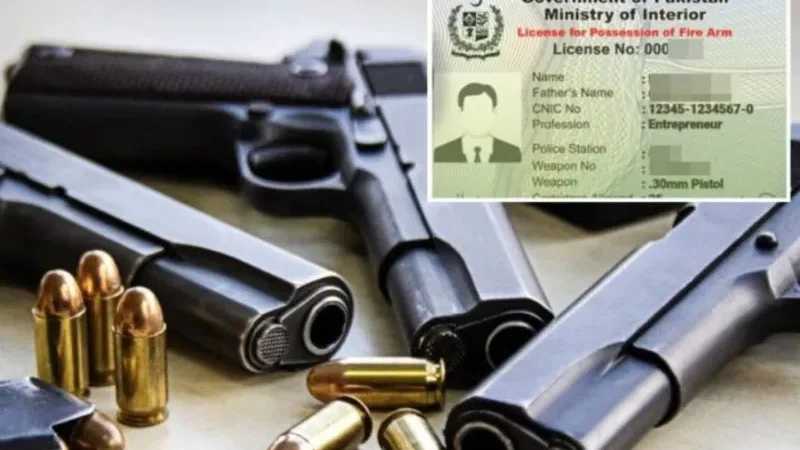 Sindh government bans issuance of new arms' licenses