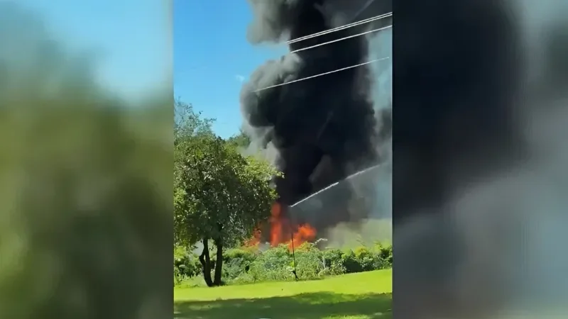 U.S. F-16 erupts in flames on Michigan field in fiery training crash as pilot ejects safely