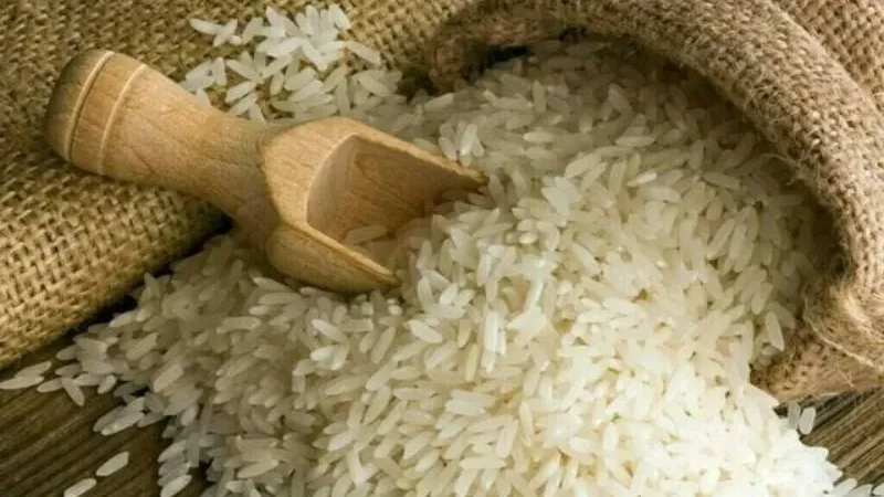 Pakistan rice exports hit record high