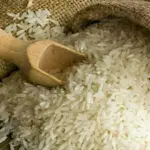 Pakistan rice exports hit record high
