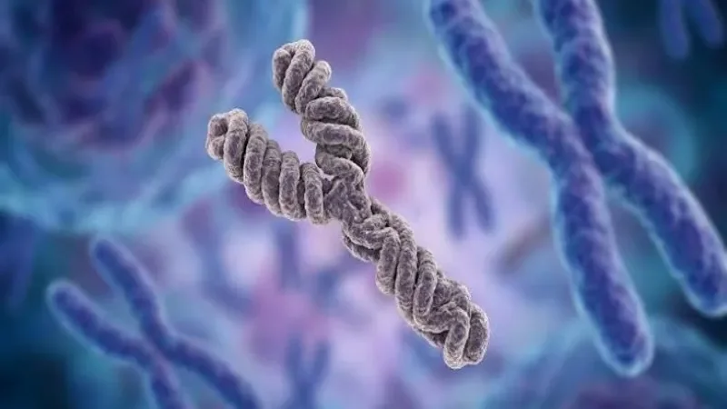 Y chromosome loss in men may create hidden pathway for cancer, study finds
