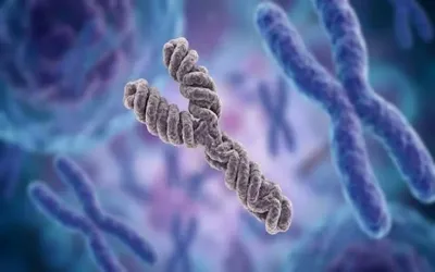 Y chromosome loss in men may create hidden pathway for cancer, study finds