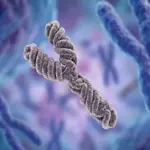 Y chromosome loss in men may create hidden pathway for cancer, study finds
