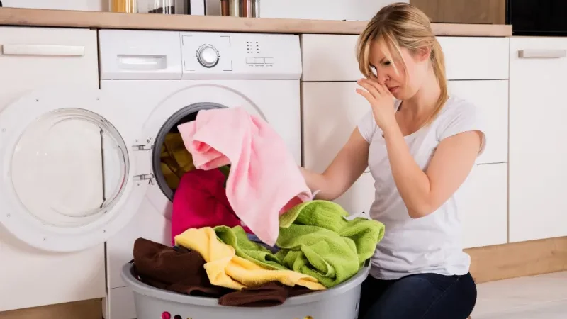 Wet laundry odor: Causes, risks and ways to prevent it - Japan, unpleasant smell, washed clothes