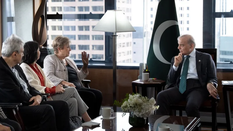 IMF meeting