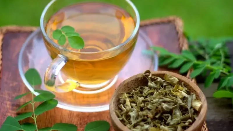 Caffeine-free moringa tea offers a range of nutritional benefits - caffeine-free herbal drink, drumstick tree, Moringa tea, potential health benefits