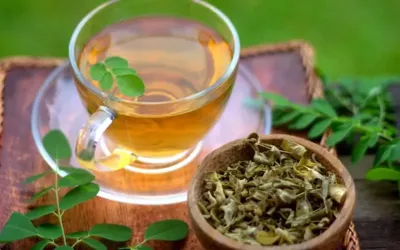 Caffeine-free moringa tea offers a range of nutritional benefits