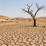 Maharashtra declares drought across 74% of state amid weak monsoon