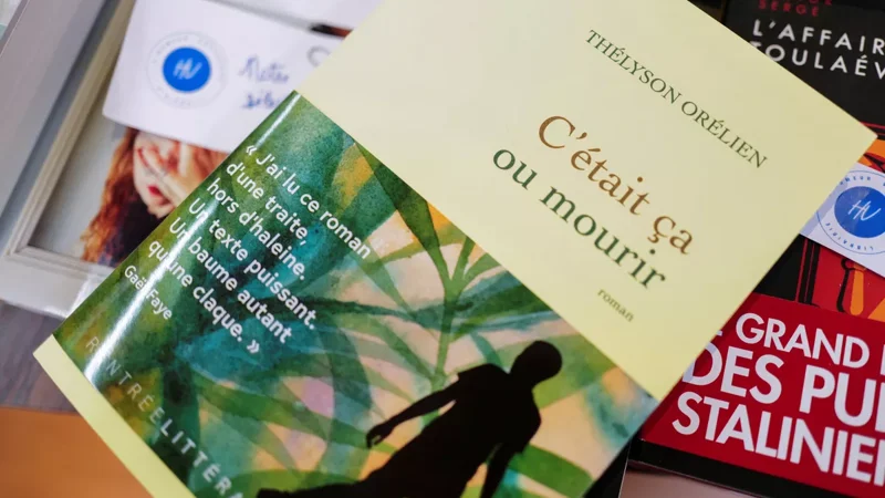 Bestselling novel removed from French literary prize due to AI allegations