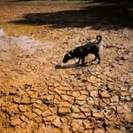 Super El Niño could make 2026 and 2027 hottest years on record