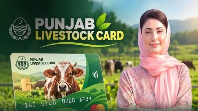 CM Punjab Maryam Nawaz unveils Rs16.2 billion livestock loan package