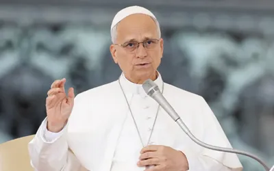 Pope Leo becomes first pontiff to vote in US election
