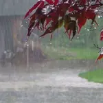 Weather Update; Occasional Rainfall to Bring Pleasant Weather in Lahore