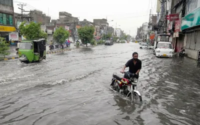 24 killed, 17 injured due to rain related incidents: PDMA