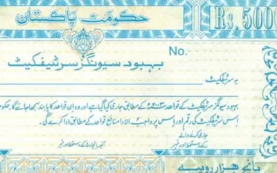 Qaumi Bachat Bank new profit rate for Bahbood Certificates - August 2024