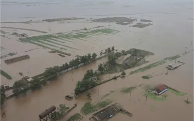 South Korea's flood aid proposal ignored by North Korea