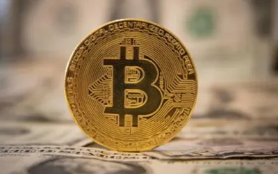 BTC TO USD – Today’s Bitcoin price in Dollar on 7 August, 2024