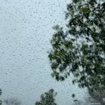 Karachi weather update: Light rain expected till August 11