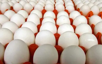Egg prices Surge in Lahore; Check latest rates here