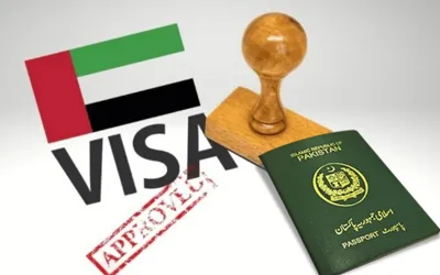 UAE Labor Law Update: Heavy Fines Introduced for Hiring on Visit Visas