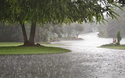 NDMA issues fresh alert for heavy rainfall, thunderstorms in KP, Punjab