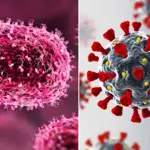 Thailand reports Asia’s first case of new Mpox strain