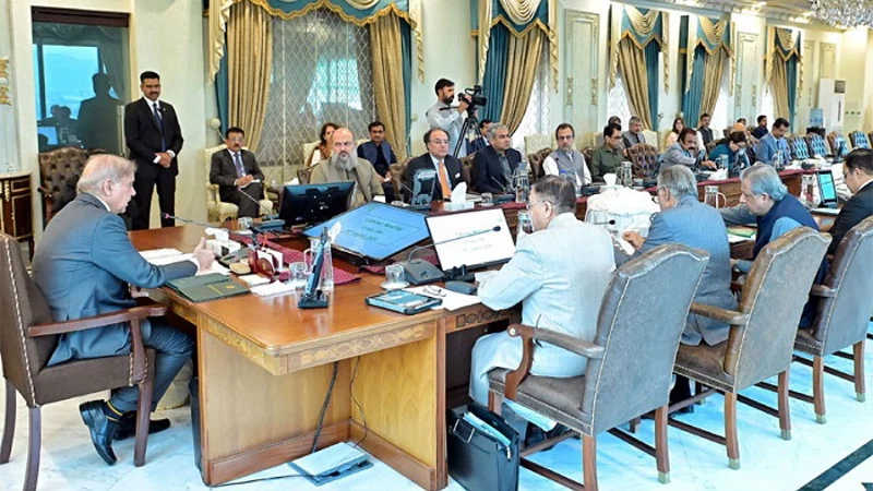 Shehbaz vows to crush enemies through collective efforts