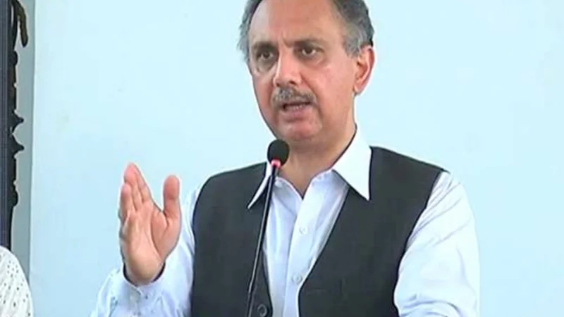 PTI founder approves Omar Ayub resignation