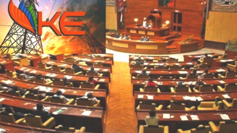 MPAs call for revocation of K-Electric's license in Sindh Assembly