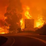Portugal's forest fires lead to severe Motorway closures