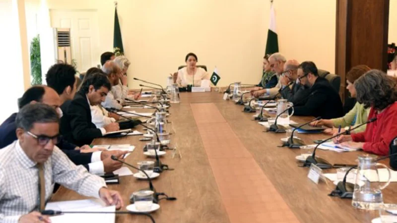 Pakistan to showcase climate actions, solutions at COP29: Romina Alam
