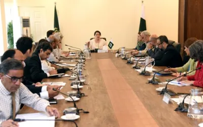 Pakistan to showcase climate actions, solutions at COP29: Romina Alam