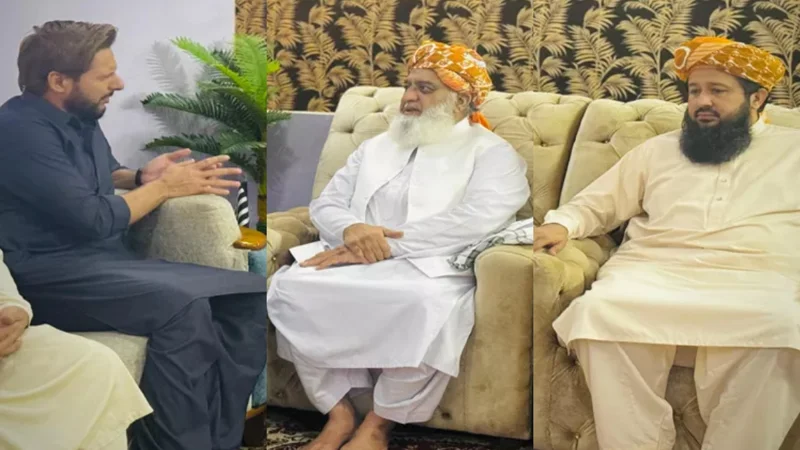 Shahid Afridi meets JUI chief Fazal ur Rehman