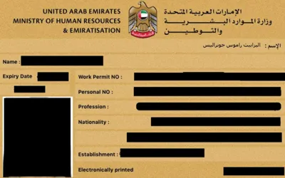 How to download UAE e-labour card for free: complete Guide here