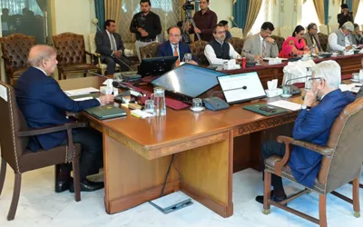 Pakistan may close several institutions if privatization fails
