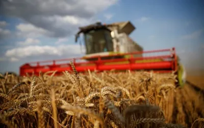 Pakistan suffers Rs496.39 billion loss due to poor handling of five crops