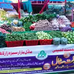 How PMBMC Created Jobs and Boosted Public Welfare Across Punjab
