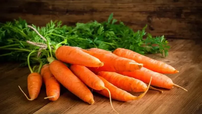 Here's how carrots improve your eyesight