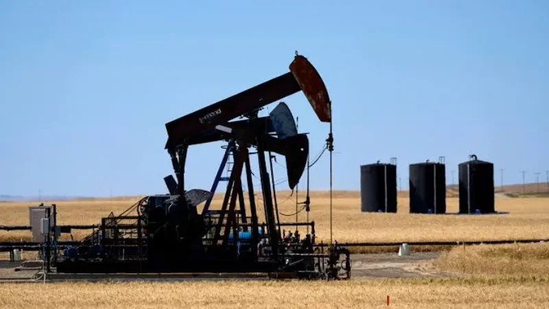 oil