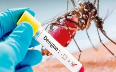96 new Dengue cases recorded in 24 Hours