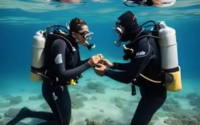 Saudi Couple Hosts Unforgettable Underwater Wedding in the Red Sea