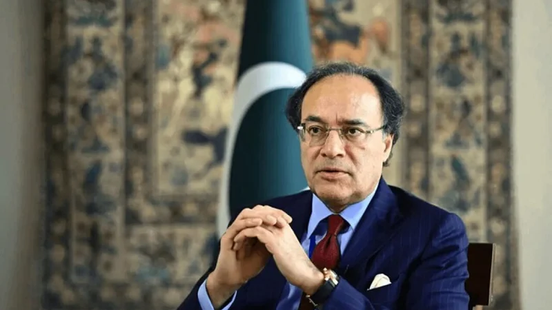 Aurangzeb briefs Pakistani diaspora on socio-economic developments in country