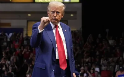 Donald Trump leads US Election 2024 with bigger margin than Kamala Harris