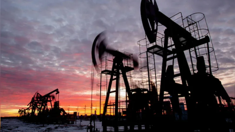 India says Russian oil supplies vital in keeping global prices stable