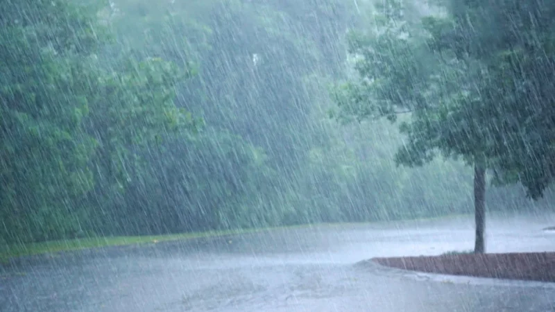 Nation unites in ‘Salat-al-Istisqa’ to ssek divine mercy for rain