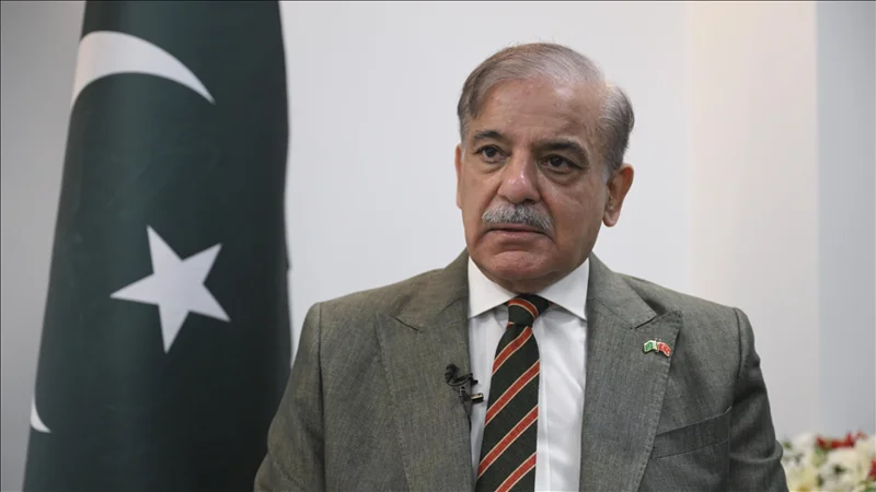 PM Shehbaz forms committee to resolve issues between PMLN & PPP