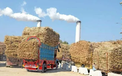 FIA to monitor sugar mills during crushing season