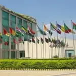 Experts call for joint climate action across OIC nations