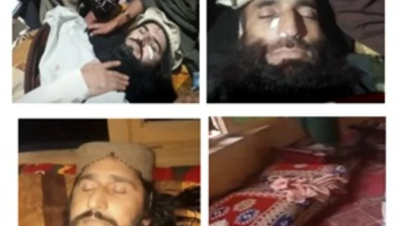 Afghanistan: Terrorist Hub Threatens Global Peace